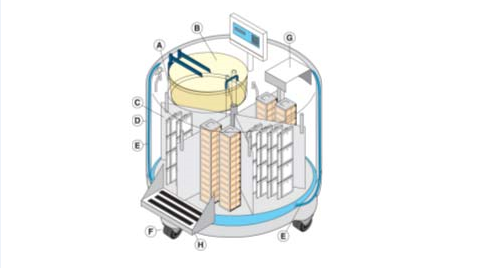 氣相液氮罐結(jié)構(gòu)示意圖